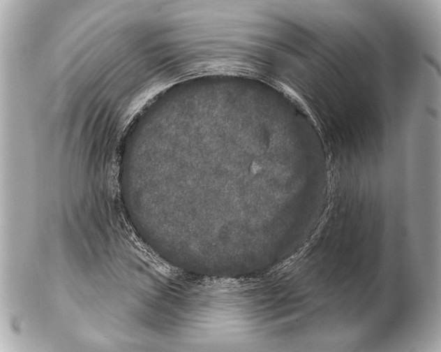 X0000102401019200808291441
