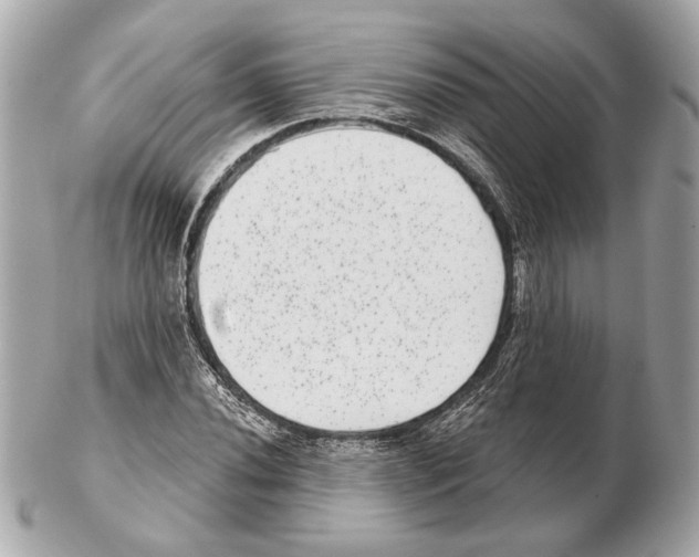 X0000102401020200808291441