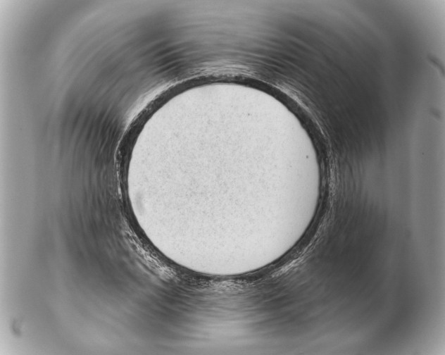 X0000102401022200808291441