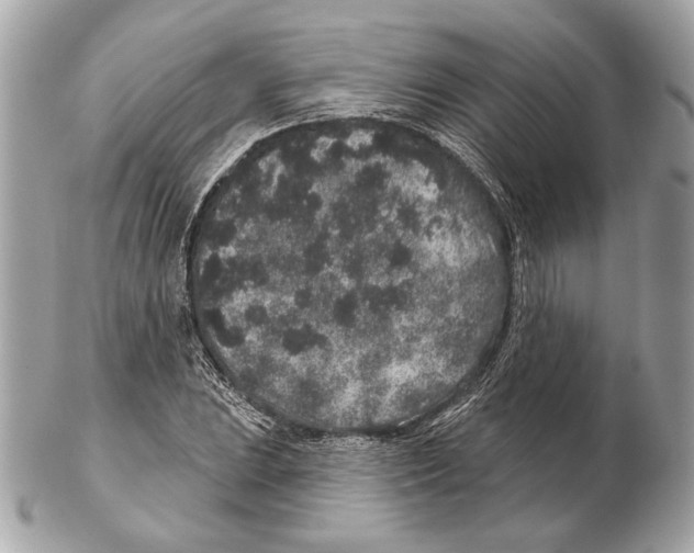 X0000102401023200808291441
