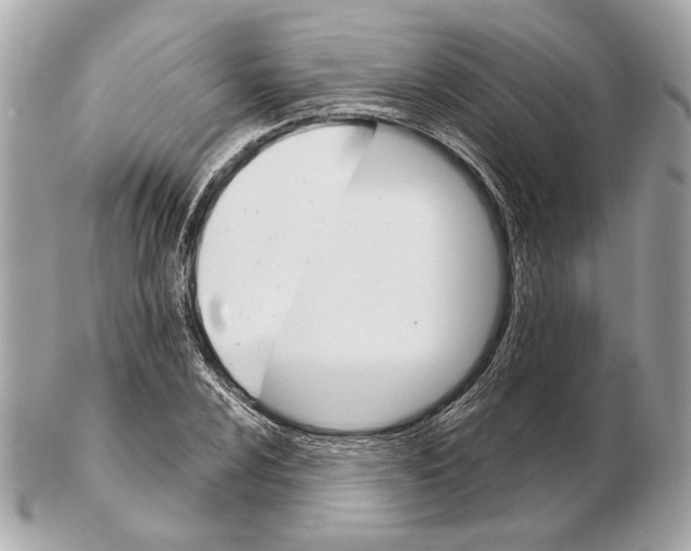 X0000102401024200808291441