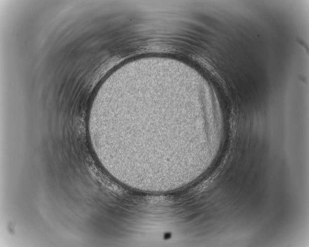 X0000102401025200808291441