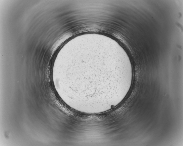 X0000102401026200808291441