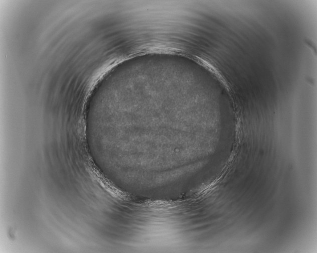 X0000102401027200808291441