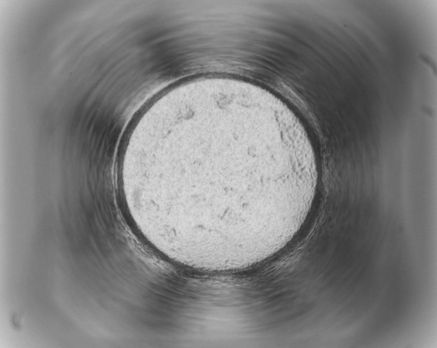 X0000102401028200808291441