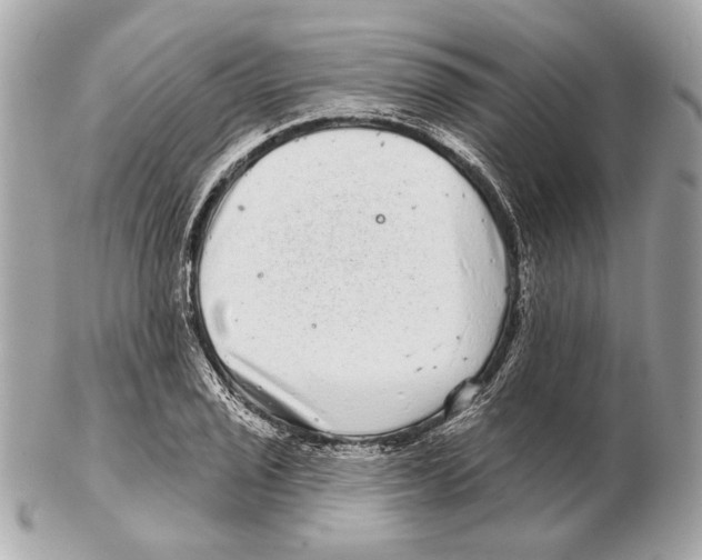 X0000102401029200808291441