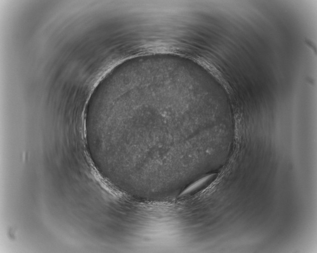 X0000102401031200808291441