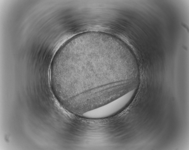 X0000102401032200808291441