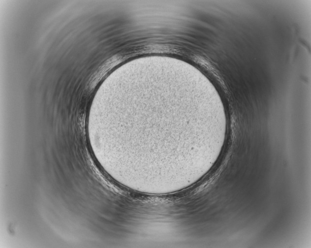X0000102401033200808291441
