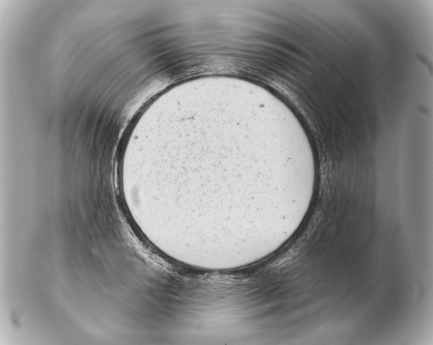 X0000102401034200808291441