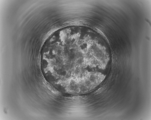 X0000102401035200808291441