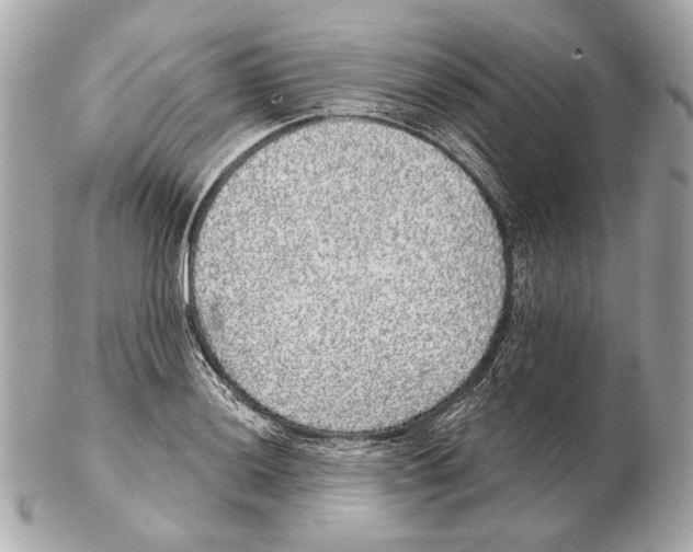 X0000102401036200808291441