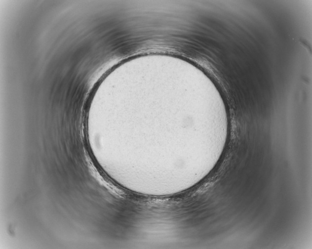 X0000102401038200808291441