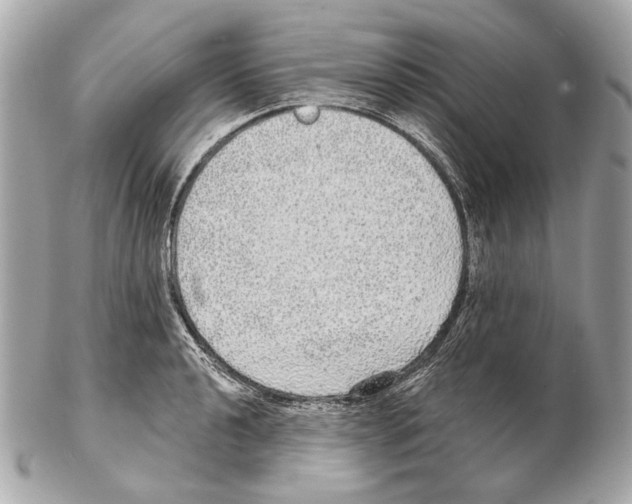 X0000102401040200808291441