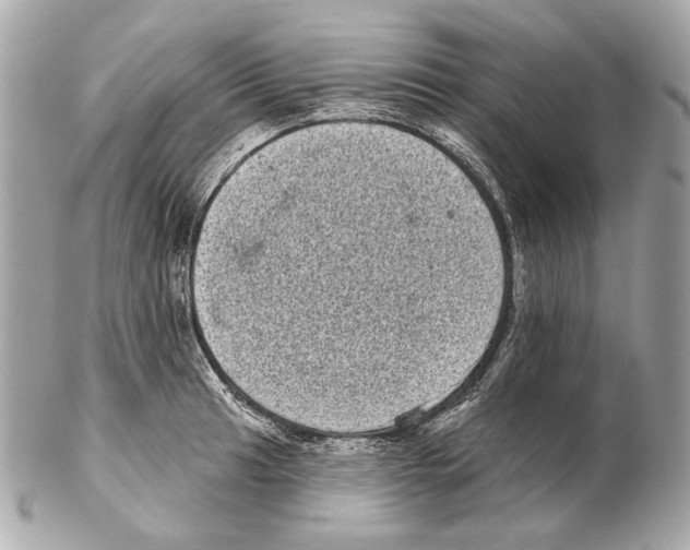 X0000102401041200808291441