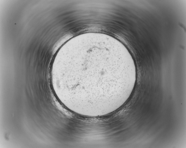 X0000102401042200808291441
