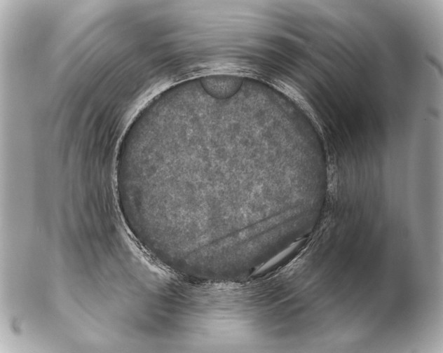X0000102401043200808291441