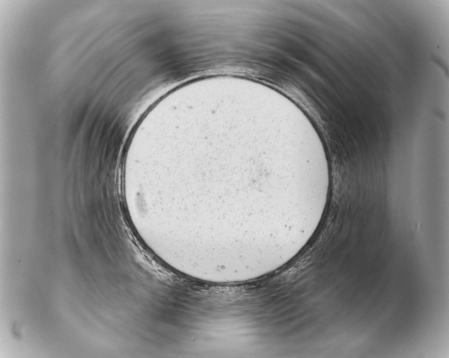 X0000102401044200808291441