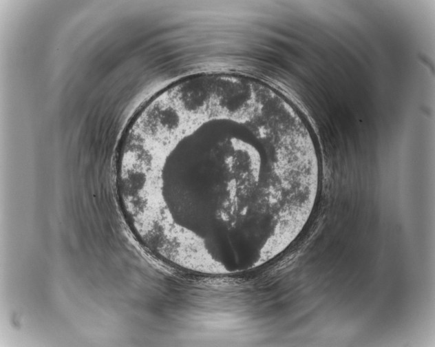 X0000102401045200808291441