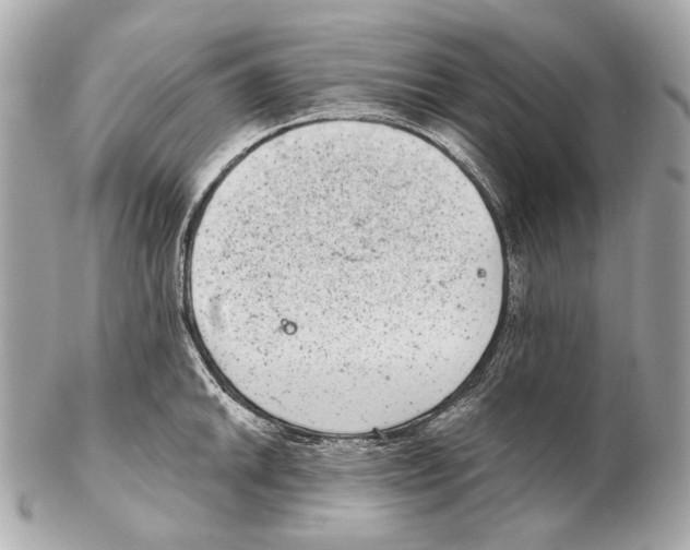 X0000102401046200808291441