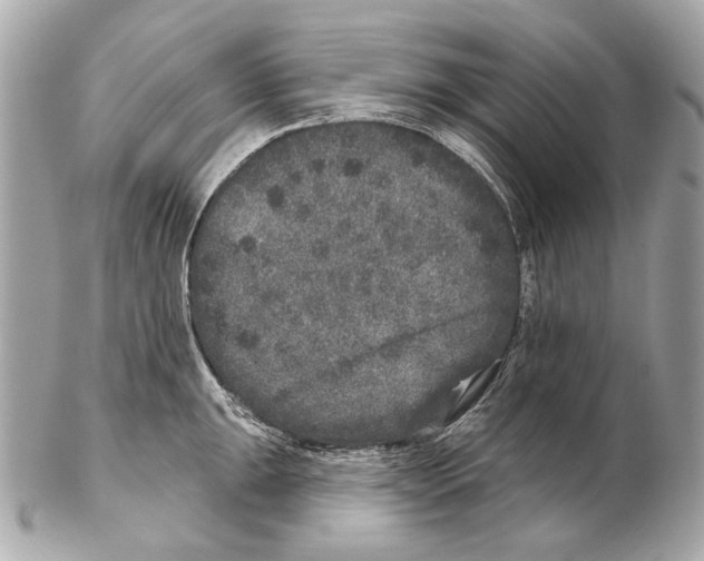 X0000102401047200808291441