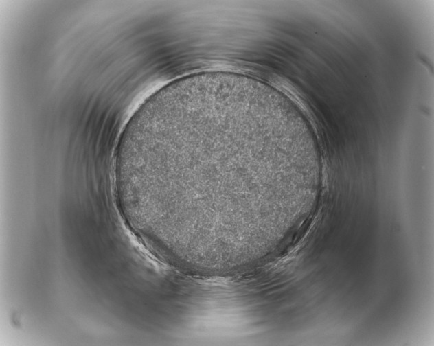 X0000102401048200808291441