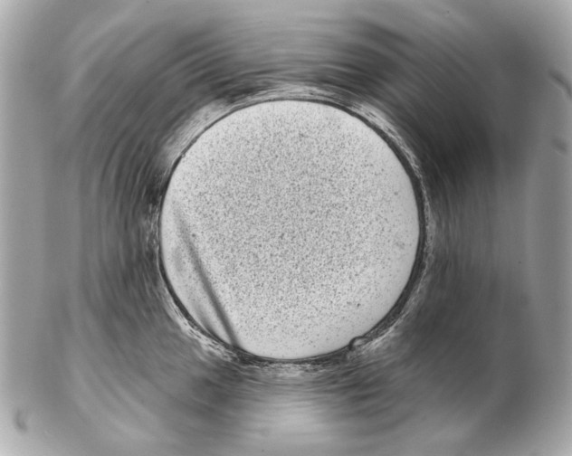 X0000102401049200808291441