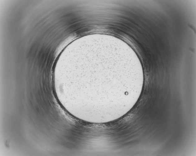 X0000102401050200808291441