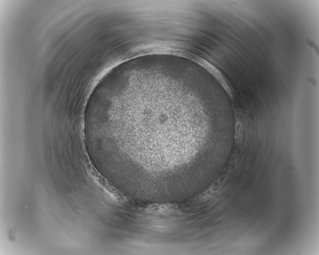 X0000102401051200808291441