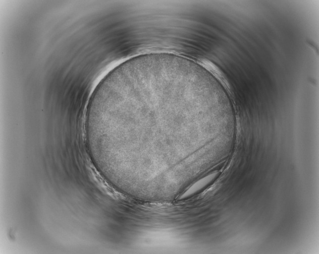 X0000102401052200808291441