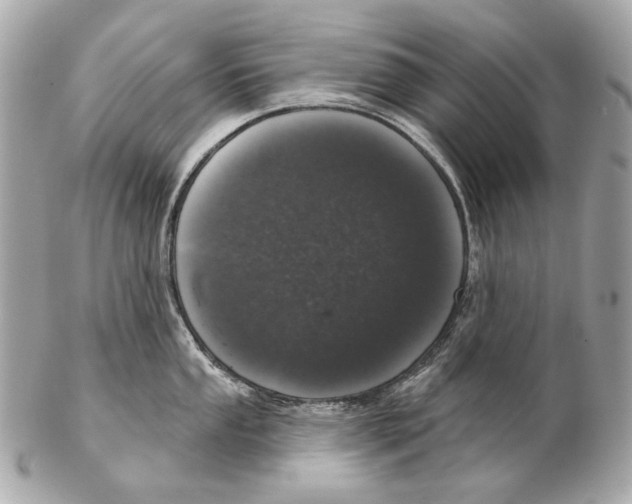 X0000102401053200808291441