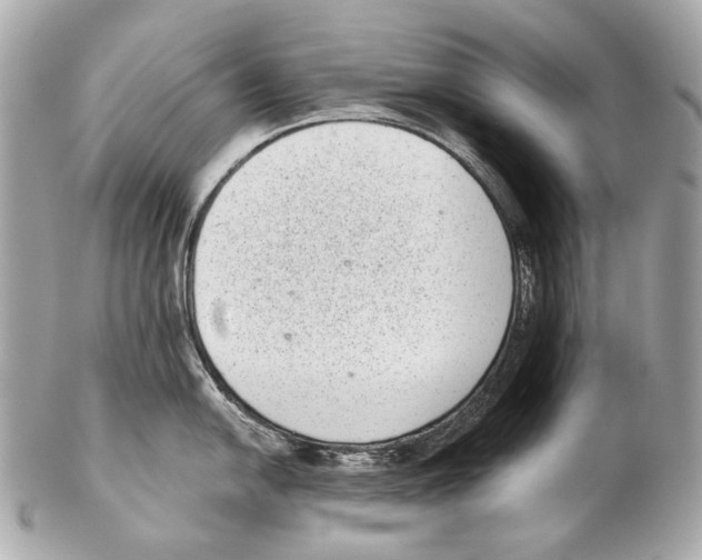 X0000102401054200808291441