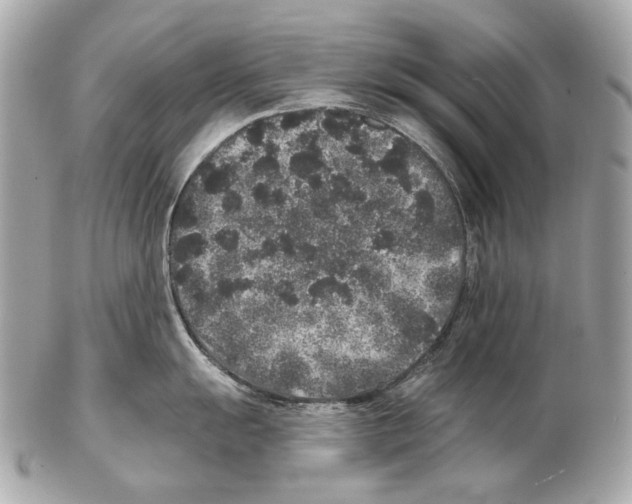 X0000102401055200808291441