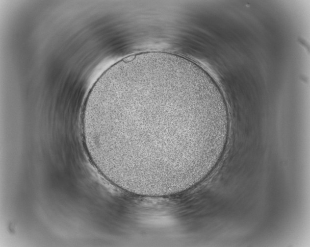 X0000102401056200808291441