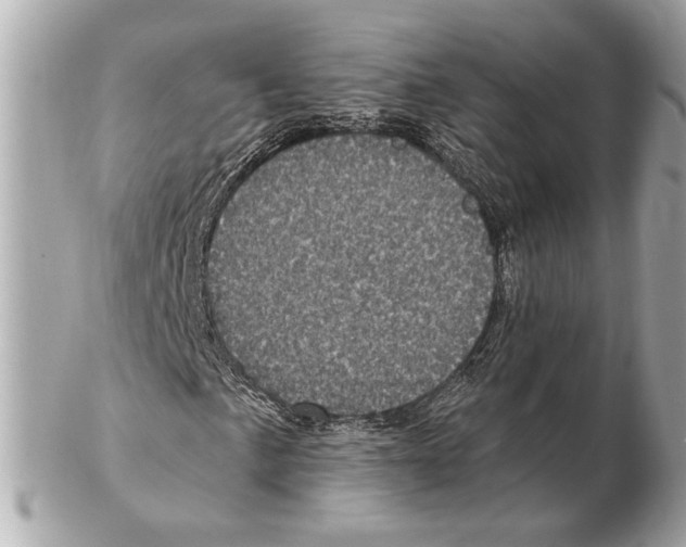 X0000102401057200808291440
