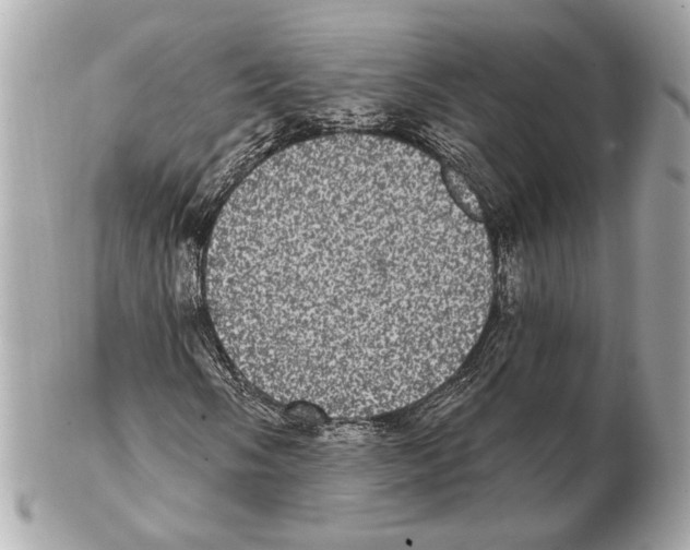 X0000102401058200808291440