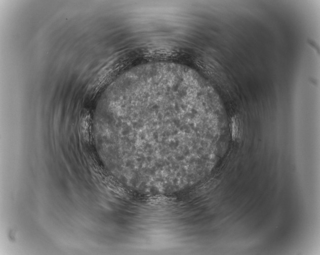 X0000102401059200808291440