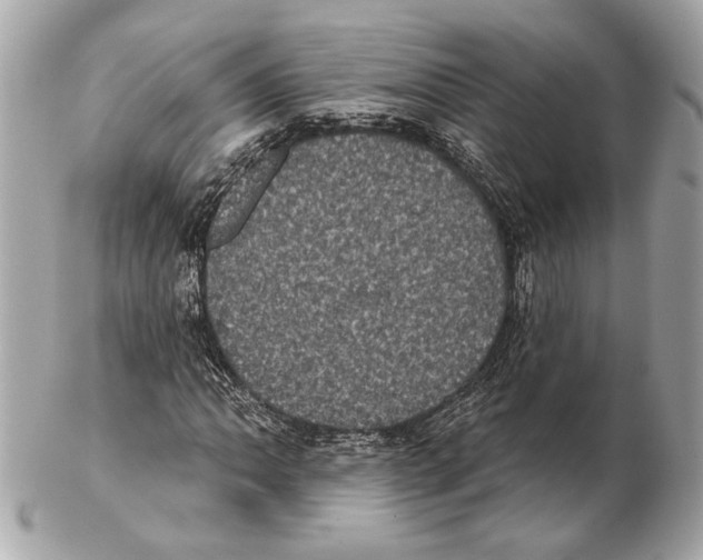 X0000102401062200808291440