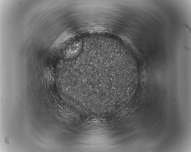 X0000102401063200808291440