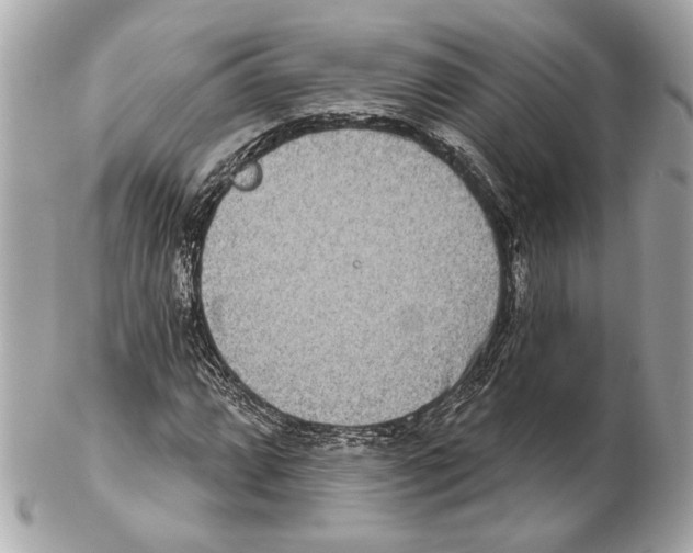 X0000102401064200808291440