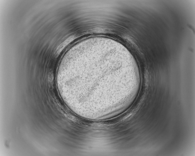 X0000102401065200808291440