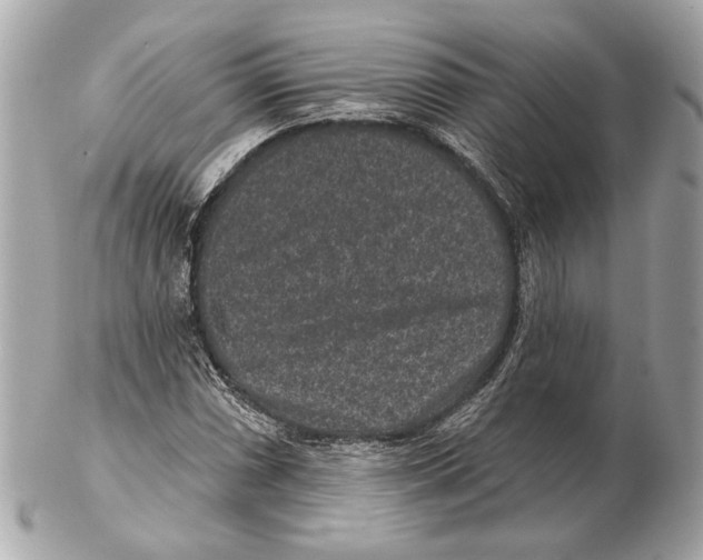 X0000102401066200808291440