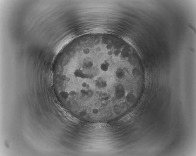 X0000102401067200808291440