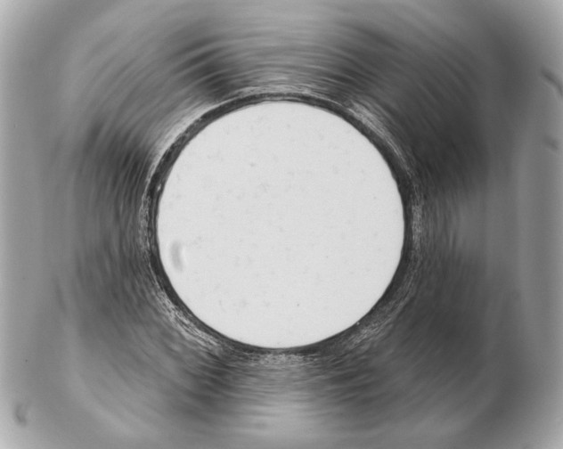 X0000102401068200808291440