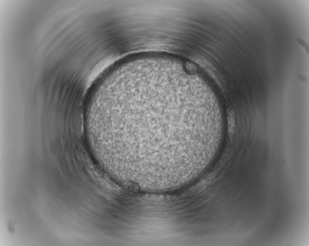 X0000102401069200808291440