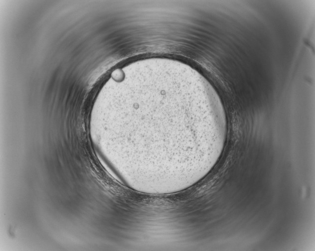 X0000102401070200808291440
