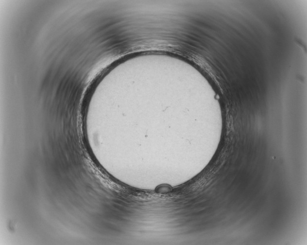 X0000102401072200808291440