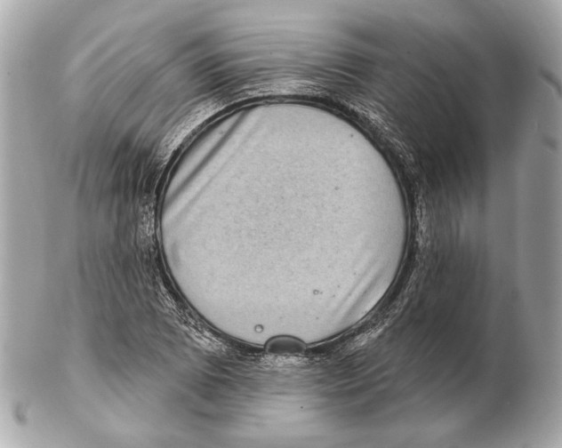 X0000102401073200808291440