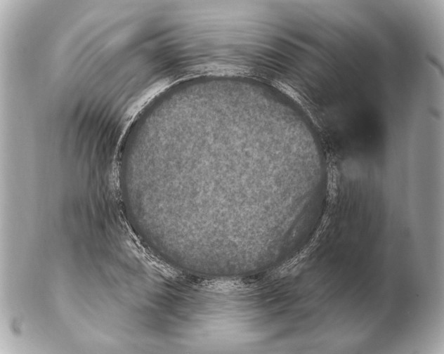 X0000102401074200808291440