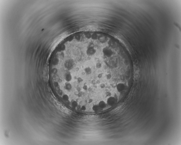 X0000102401075200808291440